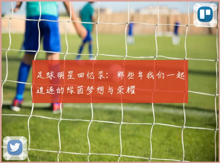 足球明星回忆录：那些年我们一起追逐的绿茵梦想与荣耀