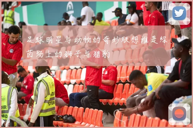足球明星与动物的奇妙联想谁是绿茵场上的狮子与猎豹