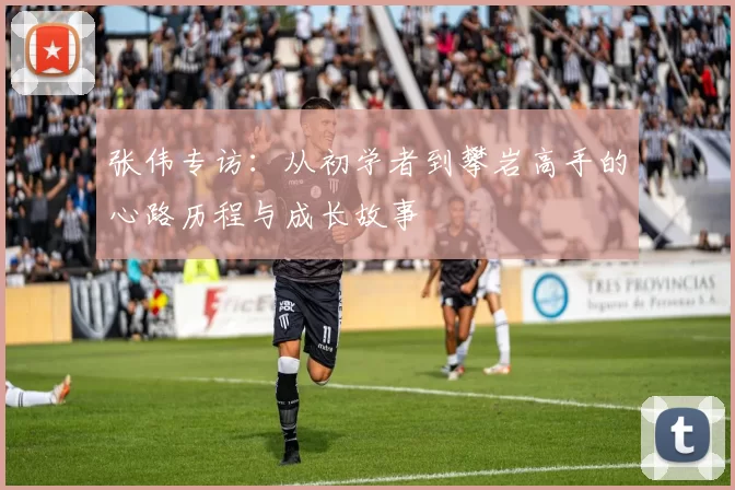 张伟专访：从初学者到攀岩高手的心路历程与成长故事