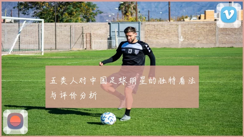 五类人对中国足球明星的独特看法与评价分析