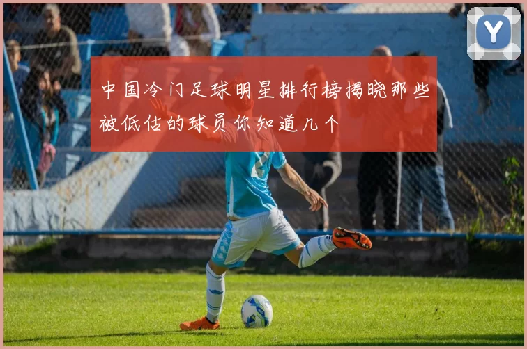 中国冷门足球明星排行榜揭晓那些被低估的球员你知道几个