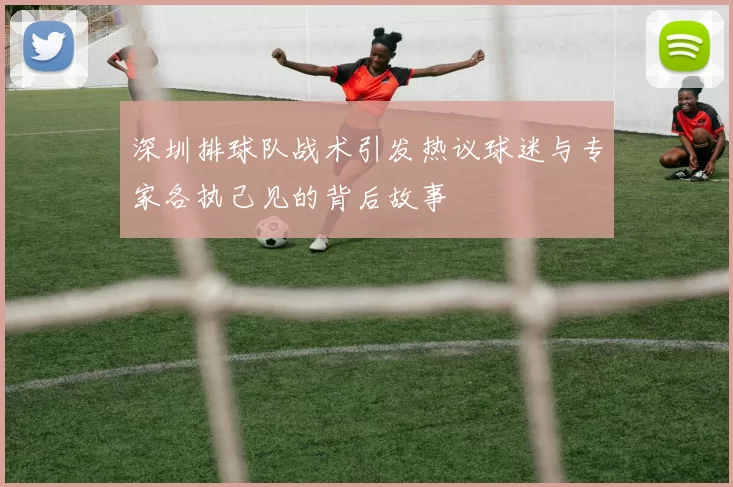 深圳排球队战术引发热议球迷与专家各执己见的背后故事