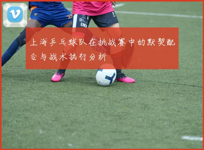 上海乒乓球队在挑战赛中的默契配合与战术执行分析