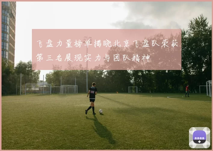 飞盘力量榜单揭晓北京飞盘队荣获第三名展现实力与团队精神
