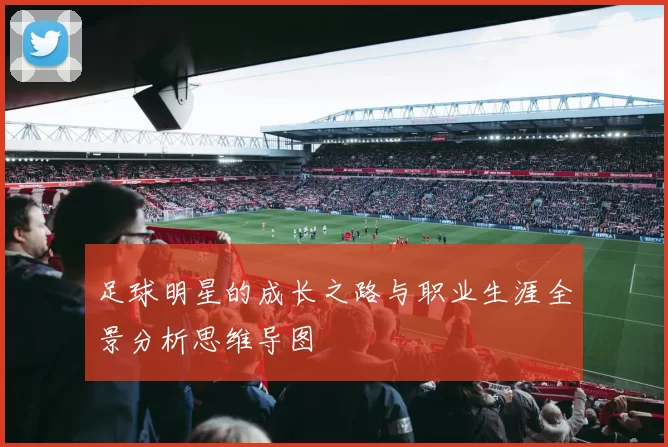 足球明星的成长之路与职业生涯全景分析思维导图
