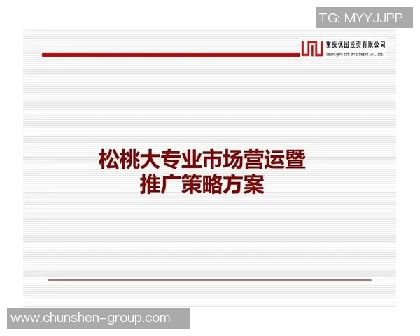 深入分析成都排球队的运营策略与市场推广模式